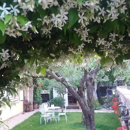Ca Del Lago Misano *
